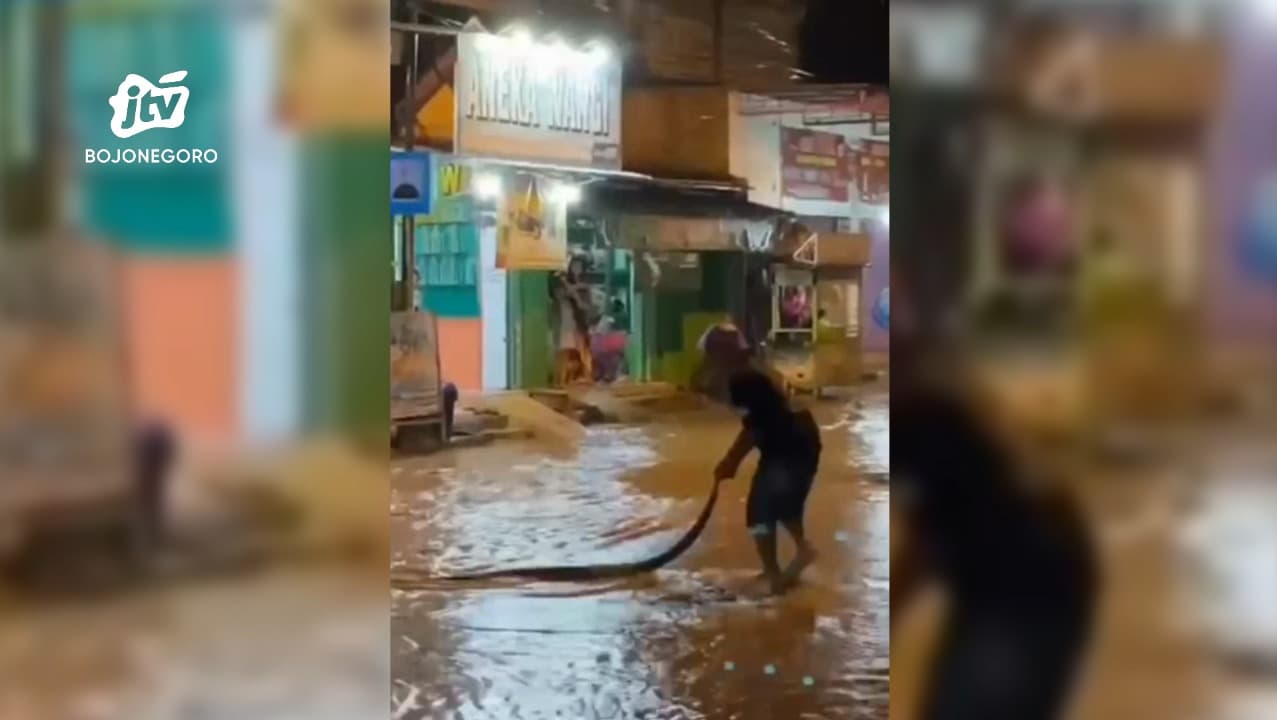 Ular Piton 3,5 Meter Terbawa Arus Banjir Bandang di Tuban