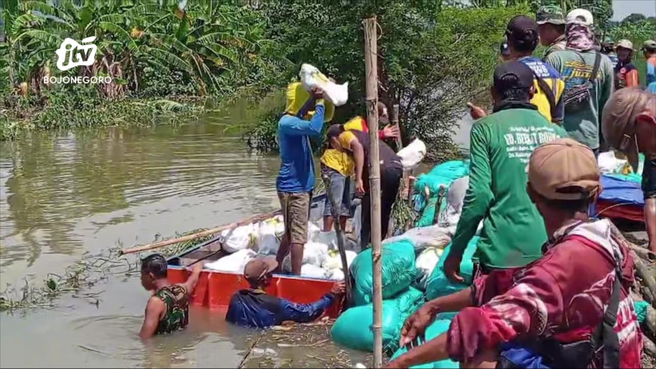 Tanggul Kali Ingas Jebol, Ratusan Hektar Sawah Terdampak Banjir