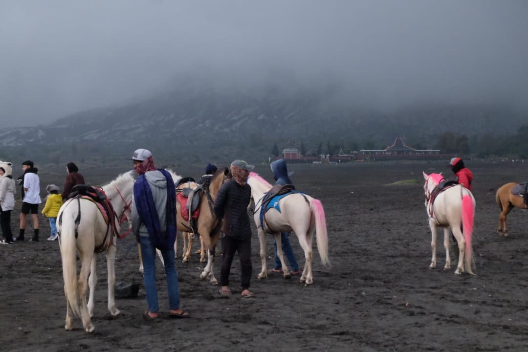 Meski Hujan, 3 Ribu Lebih Wisatawan Padati Bromo di Libur Tahun Baru