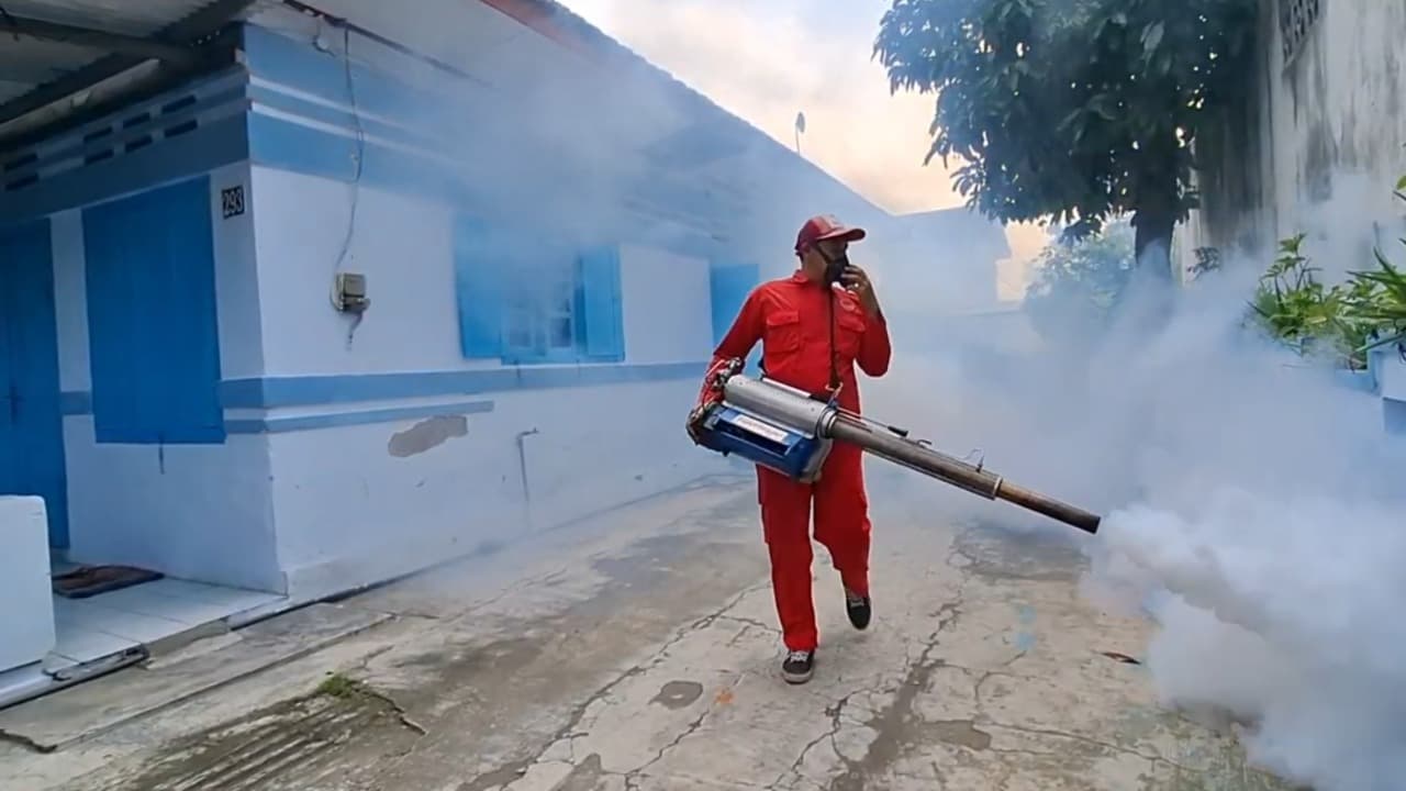 Chikungunya Merebak di Kediri, 13 Warga Kelurahan Blabak Terjangkit