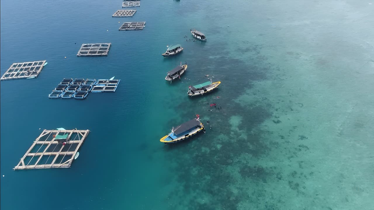 Panen Ikan Kerapu di Gili Ketapang, Nelayan Raup Untung Setengah Miliar