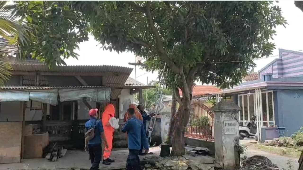 Tim Rescue PMK Evakuasi Sarang Tawon Vespa di Desa Wonokupang