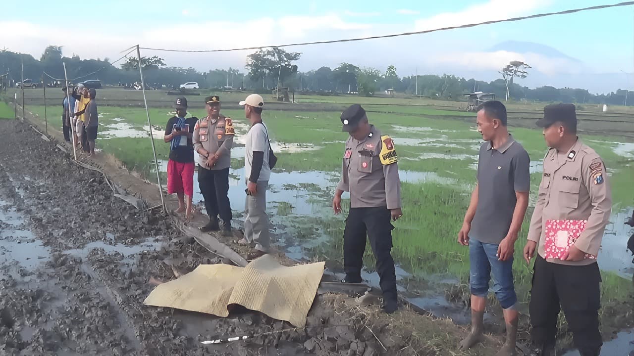 Nyari Belut, Pria di Ngawi Tewas Tersengat Listrik Jebakan Tikus