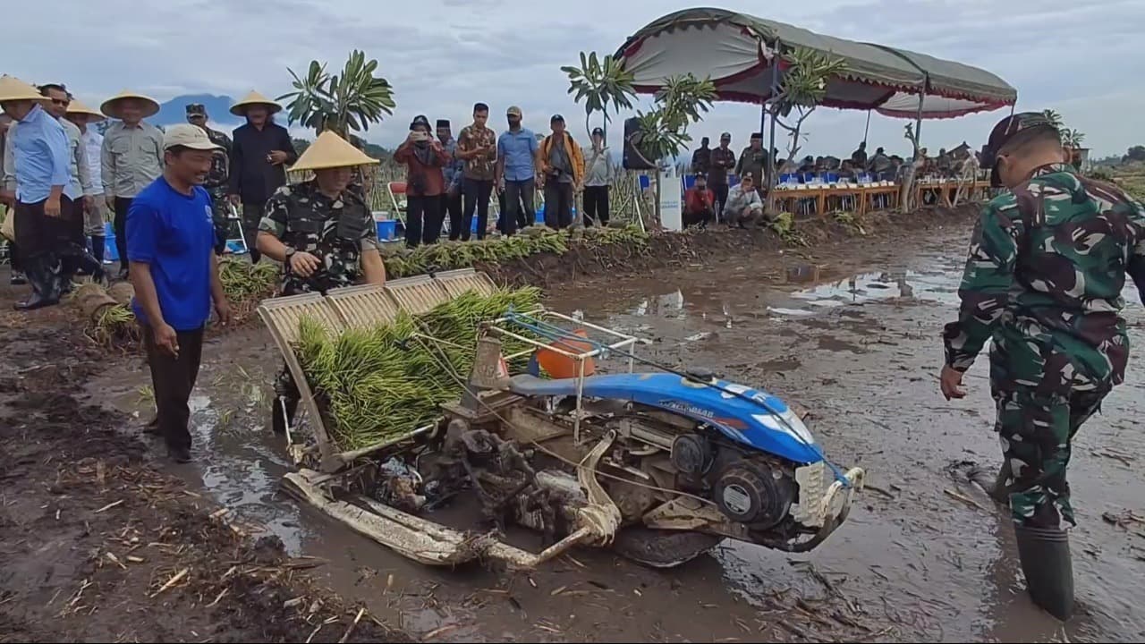 Dukung Program Swasembada Pangan, Kodim 0807 Tulungagung Demplot Tanam Padi