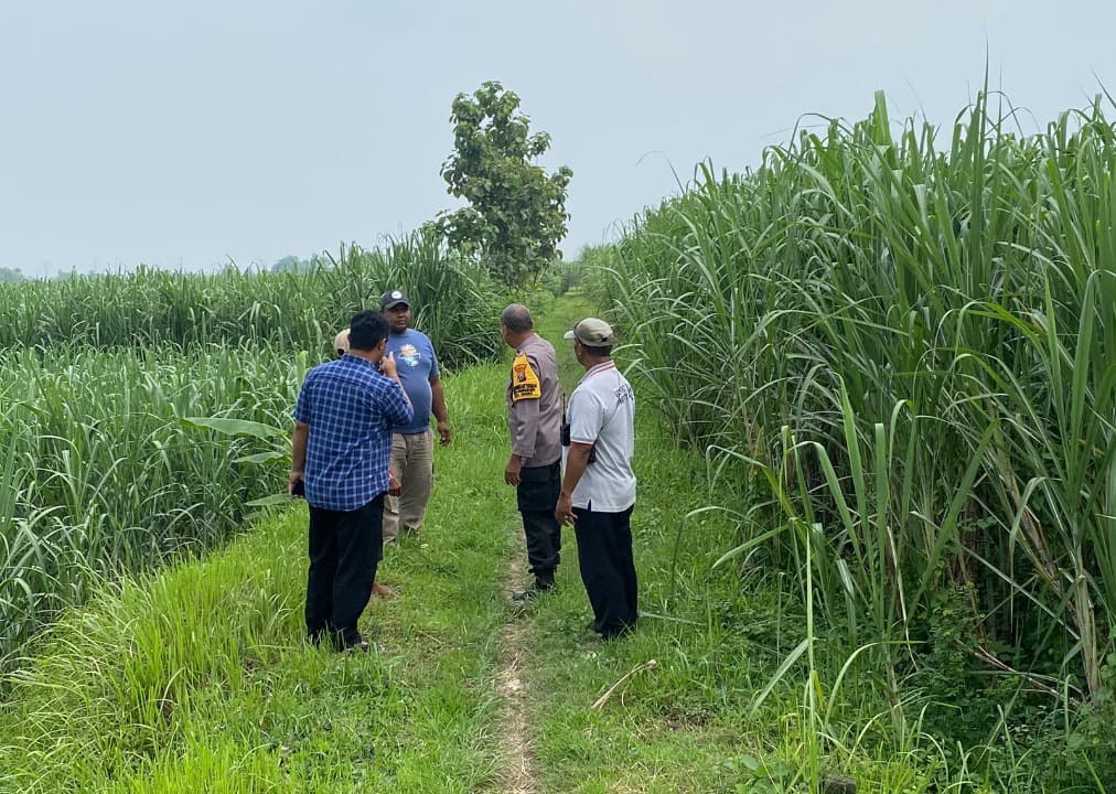 Bocah SD di Mojokerto Diculik, Perhiasan Dipreteli Lalu Dibuang