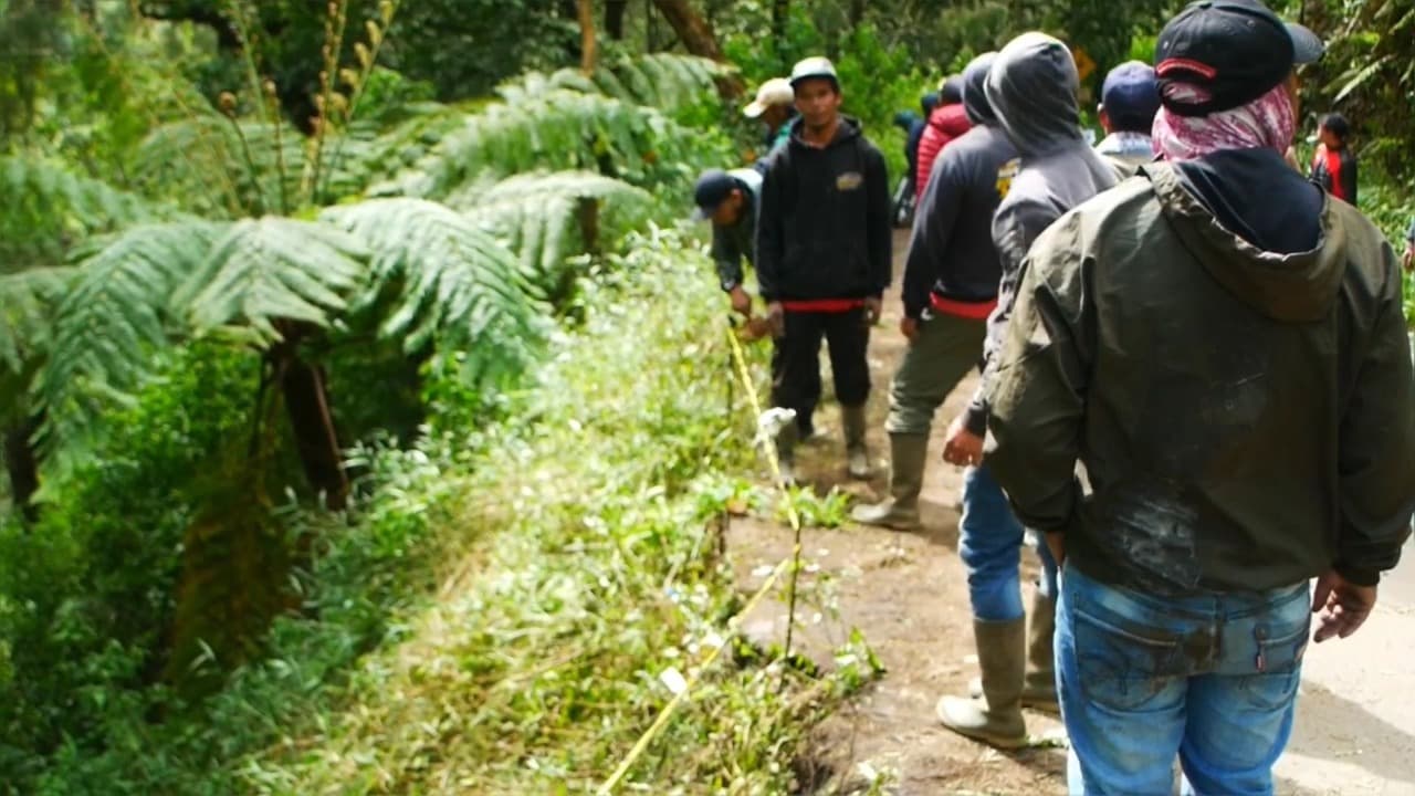 Sopir Mengantuk, Pickup Terjun ke Jurang 150 Meter di Lumajang