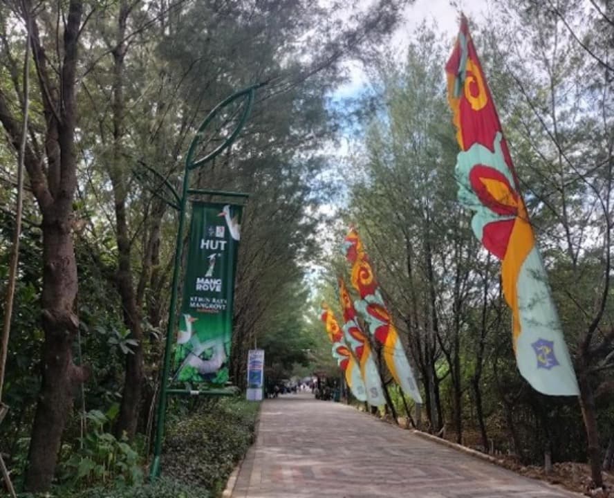 Hadirkan Nuansa Alami dan Edukasi, Mangrove Gunung Anyar Surabaya Jadi Destinasi Favorit