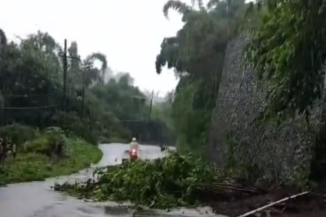 Tebing 5 Meter Longsor Tutup Jalan Raya di Pacet Mojokerto