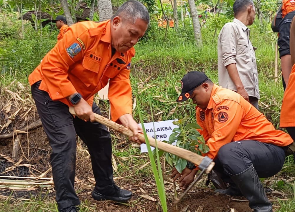 Perkuat Mitigasi Bencana, BPBD Jatim Tanam Ribuan Pohon di 3 Daerah