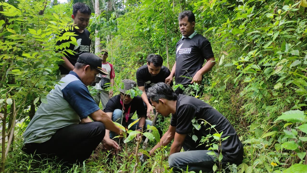 Aksi Penghijauan PWI Pacitan Warnai Hari Pers Nasional 2025