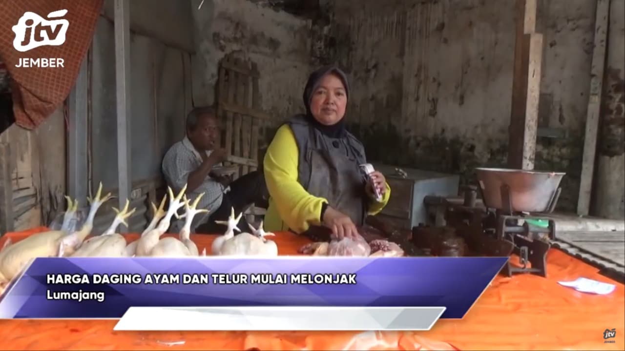 Harga Daging Ayam Dan Telur Mulai Melonjak