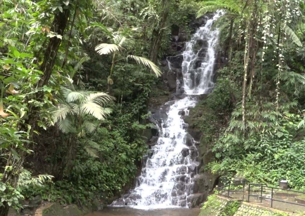 Air Terjun Irenggolo, Destinasi Wisata Alam Tersembunyi di Kediri