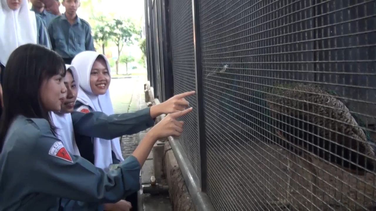 Berkunjung ke Mini Zoo, Wisata Edukasi di Tengah Kampus