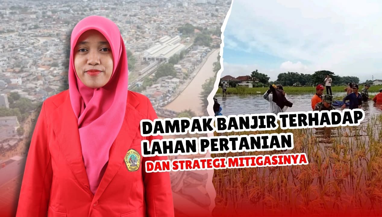 Dampak Banjir Terhadap Lahan Pertanian dan Strategi Mitigasinya