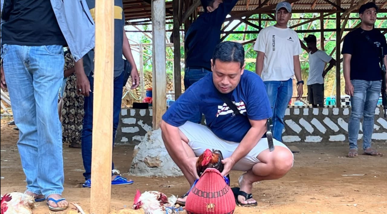 Gerebek Judi, Polisi Dihadang Pemain Judi Sabung Ayam