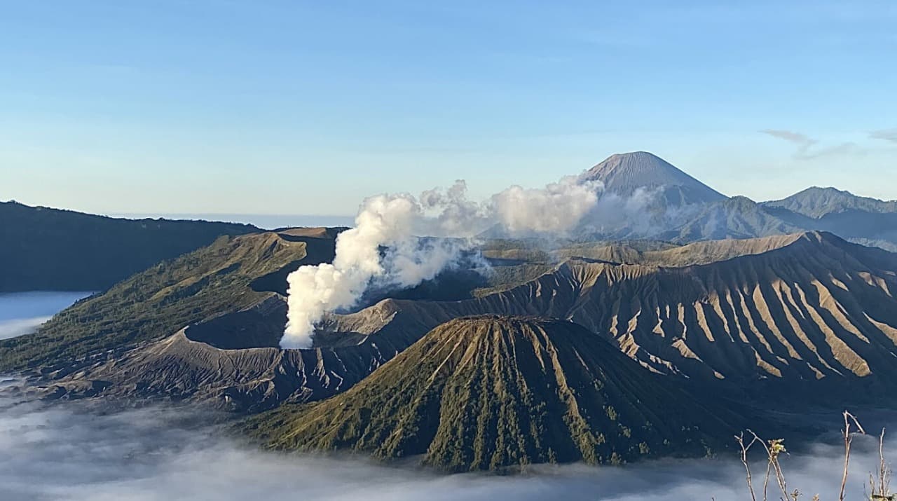 TNBTS Klarifikasi Video Viral Penemuan Ladang Ganja di Kawasan Bromo