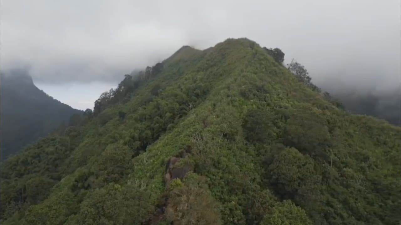 Perhutani Larang Pendakian Gunung Saeng