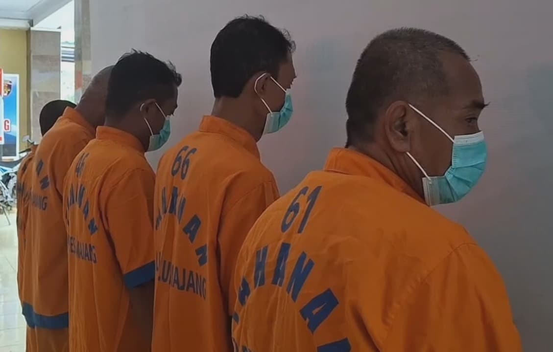 LSM Kok Begini? Amadin Curi Pohon Kelapa, Korban Diancam Diam!