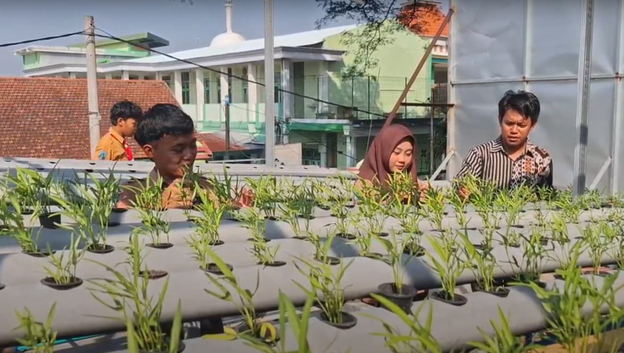 Bantu Ketahanan Pangan, Siswa SMK di Kediri Manfaatkan Tanaman Aquaponik