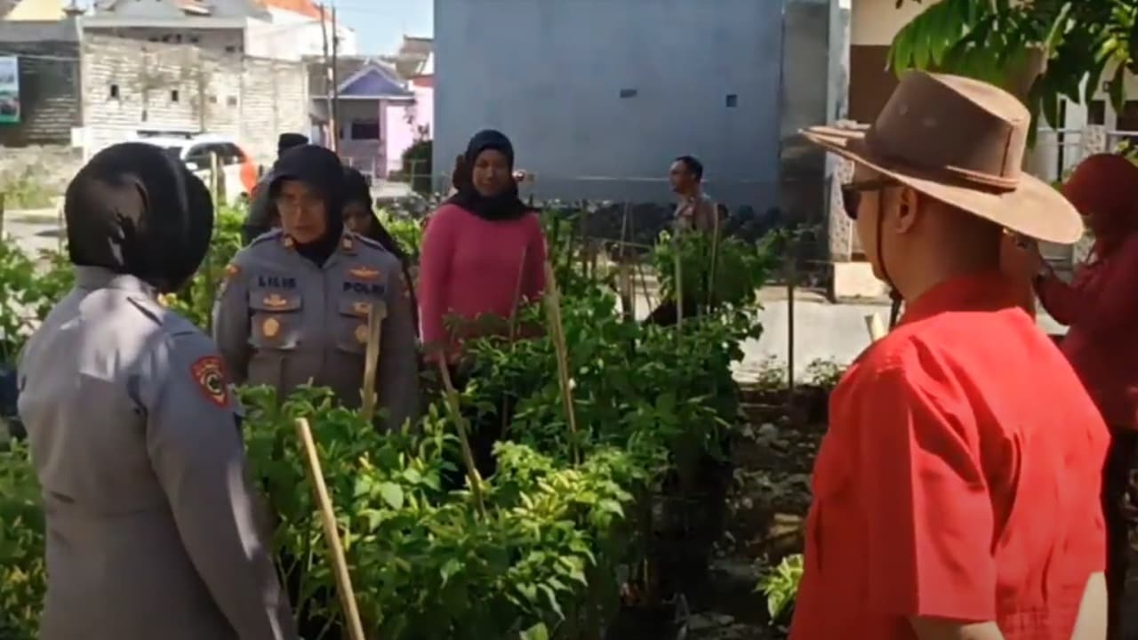 Warga Perum Halim 2 Bangkalan Sulap TPS Liar jadi Kebun Cabai