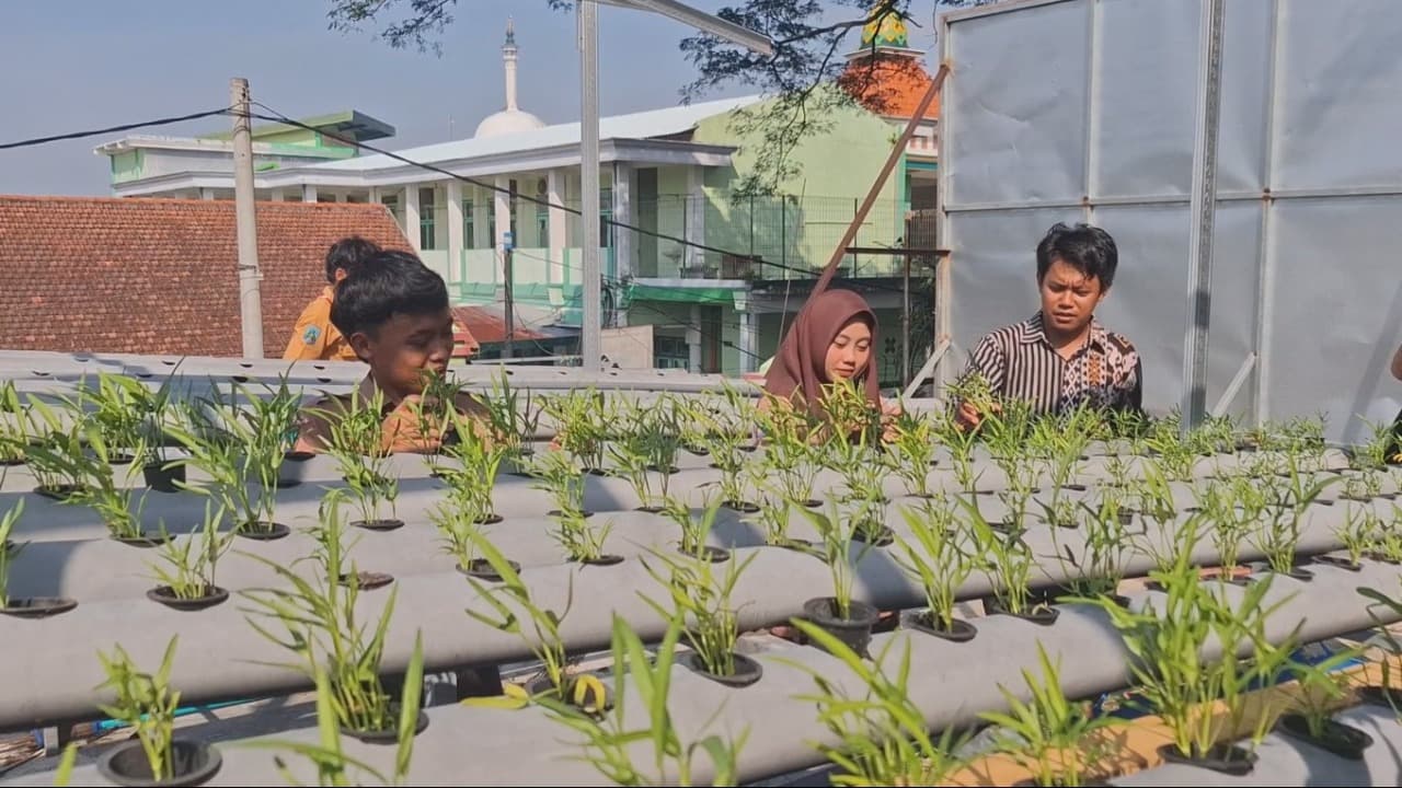 Manfaatkan Lahan Kosong, Siswa SMK di Kediri Tanam Sayur dengan Sistem Aquaponik
