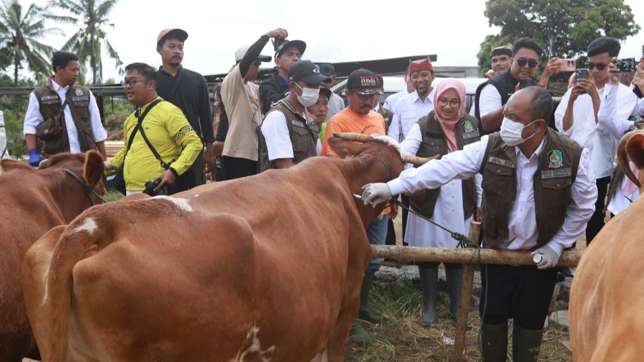Jelang Idul Adha Banyuwangi Surplus Hewan Kurban, Pasok untuk Berbagai Daerah di Indonesia