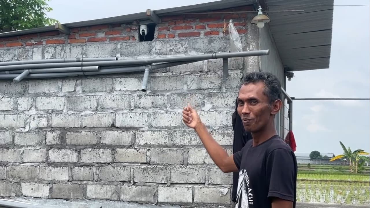 Maling Lele Telanjang Bulat! Badannya Polos, Ikan yang Lolos