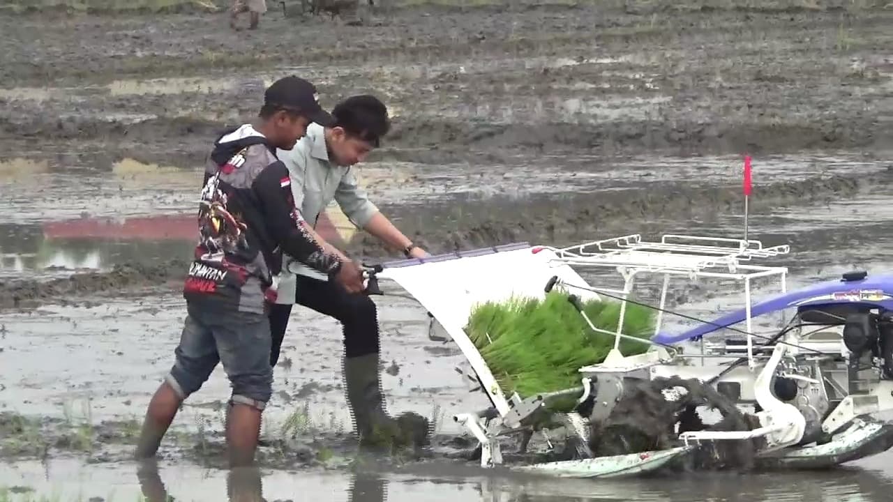 Kunjungi Ngawi, Wapres Gibran Tanam Padi dan Serahkan Bantuan Mesin Pertanian