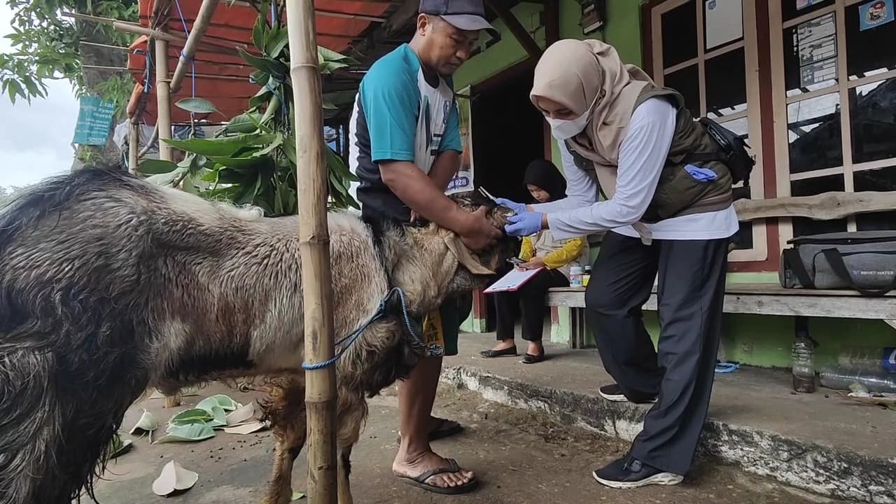 Jelang Idul Adha, DKPP Kota Madiun Gencar Monitoring Hewan Kurban