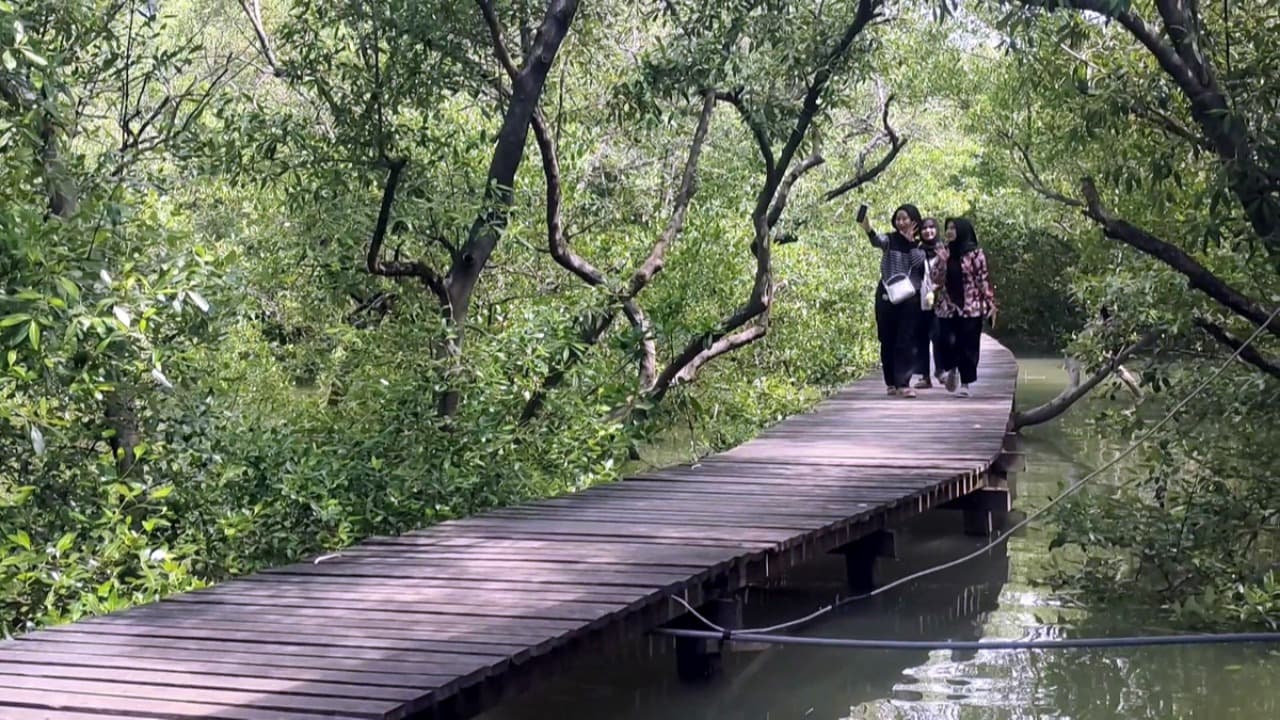 Wisata Murah di Hutan Mangrove Gresik Jadi Favorit saat Libur Sekolah