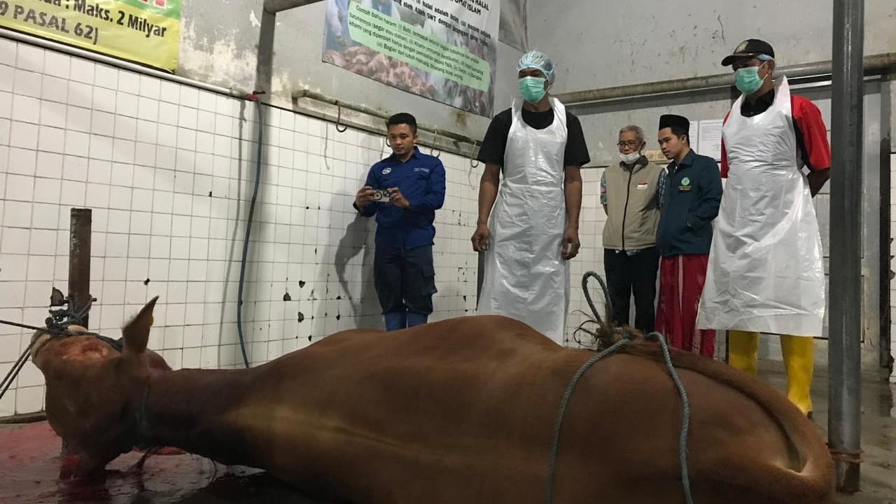 Hari Raya Idul Adha, Banyuwangi Siapkan 250 Juru Sembelih Halal