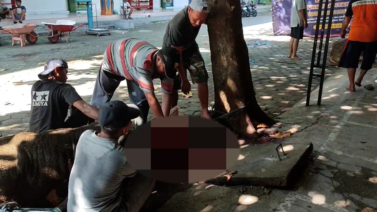 Cari Keutamaan Idul Adha 1446 H, Masjid A.R. Fachruddin MIM 1 Pare Kediri Sembelih Hewan Kurban di Hari Pertama