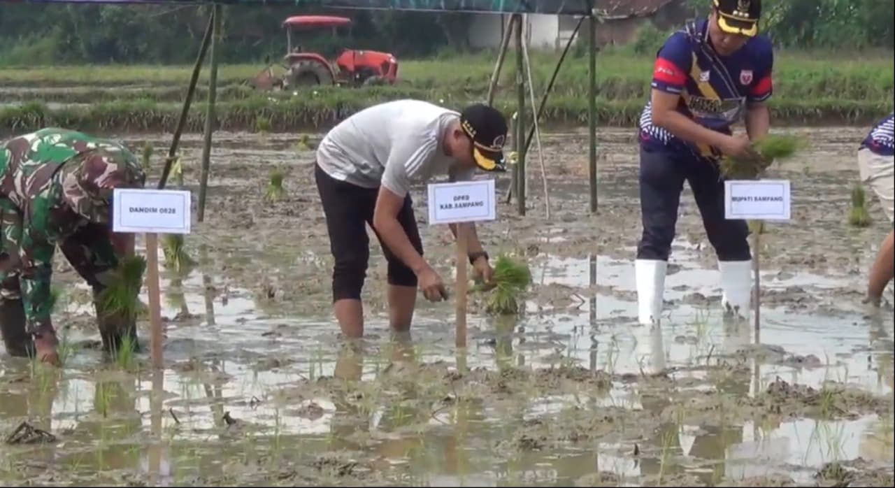 Bupati Sampang Fasilitasi Petani Hadapi Musim Tanam Ketiga
