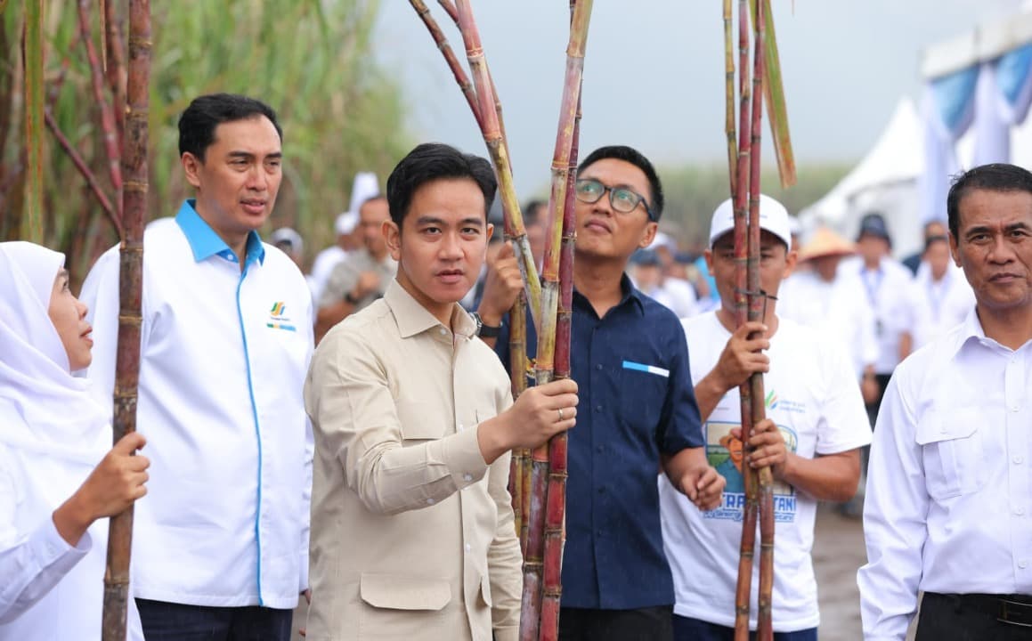Kunjungan Ke Banyuwangi Wapres Panen Tebu, dan Dialog Bersama Petani