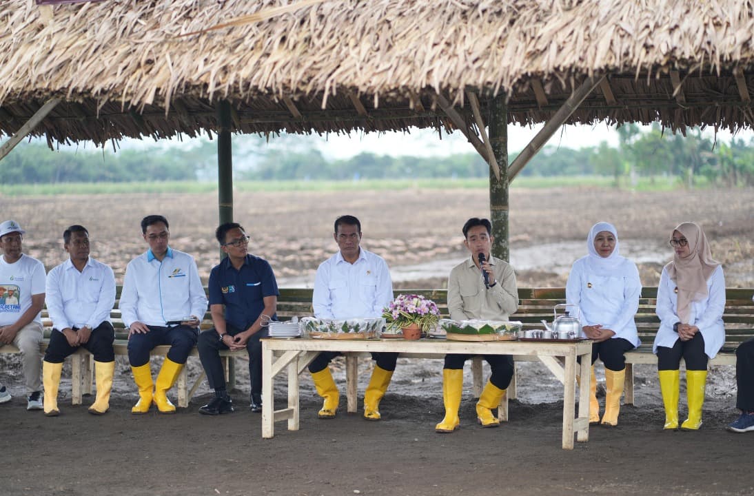 Kunker ke Banyuwangi, Wapres Gibran Panen Tebu di HGU PG Glenmore PT SGN