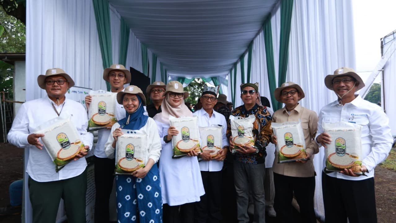 Miliki Gizi Tinggi, Badan Gizi Nasional akan Jadikan Beras Biofortifikasi "Sunwangi" Banyuwangi Menu MBG