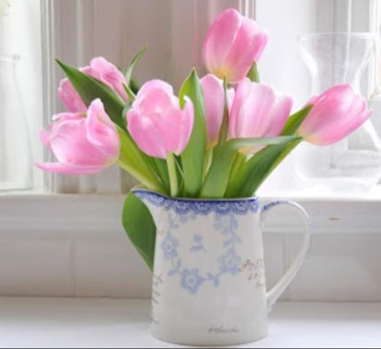 Fakta Menarik: Tulip, Bunga Nasional Belanda Berasal dari Turki?