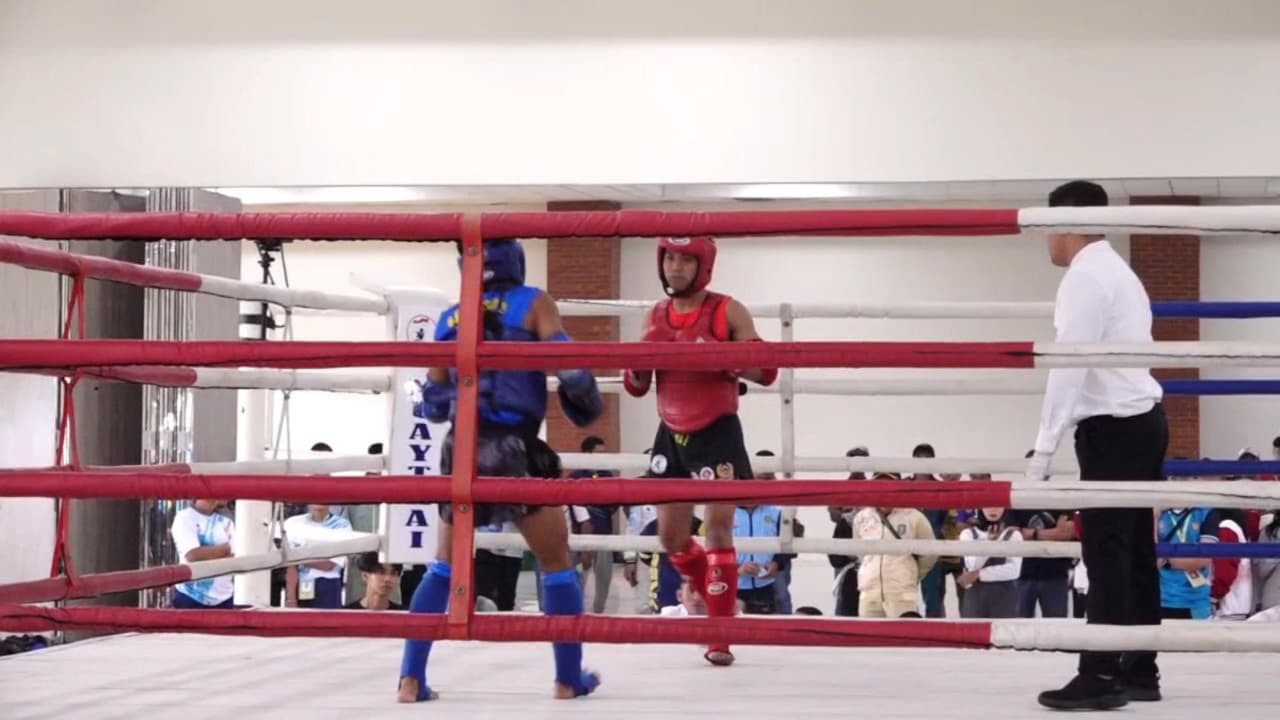 Muaythai Porprov IX Jatim Dimulai di Kota Malang, Kabupaten Kediri Sumbang 11 Atlet