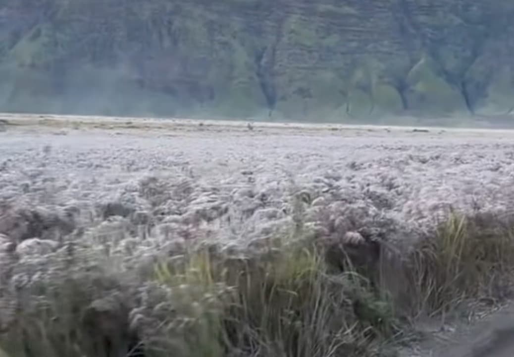 Embun Es Selimuti Bromo, Wisatawan Serbu Padang Savana Tengger