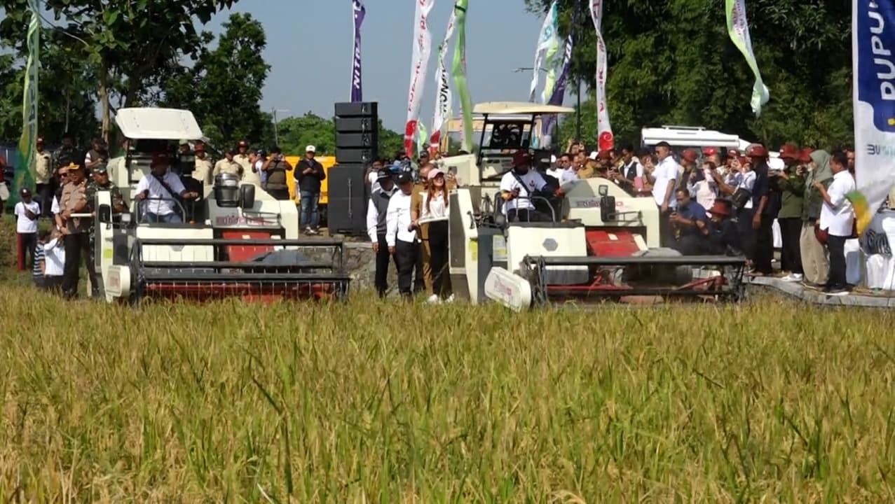 Kediri Jadi Tuan Rumah Panen Raya Kampung Perlindungan Organik Minim Residu, HIMPO Indonesia Sukses Terapkan Pemupukan Berimbang