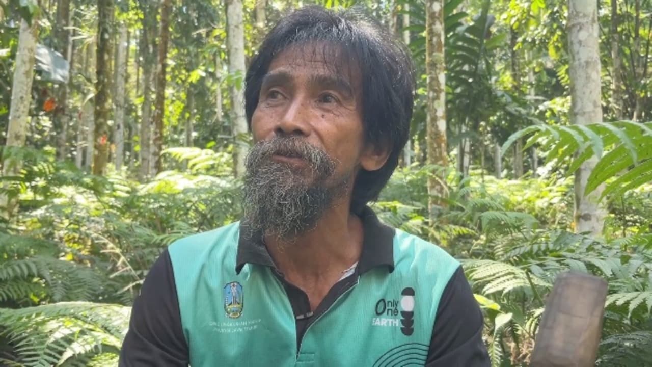 Ratusan Juta dari Lereng Gunung: Berkah Pohon Pinang Si Penyelamat Hutan