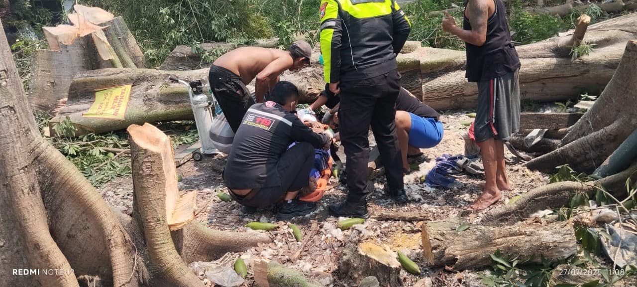 Tragis, Lansia 71 Tahun di Mojokerto Tewas Tertimpa Pohon Randu