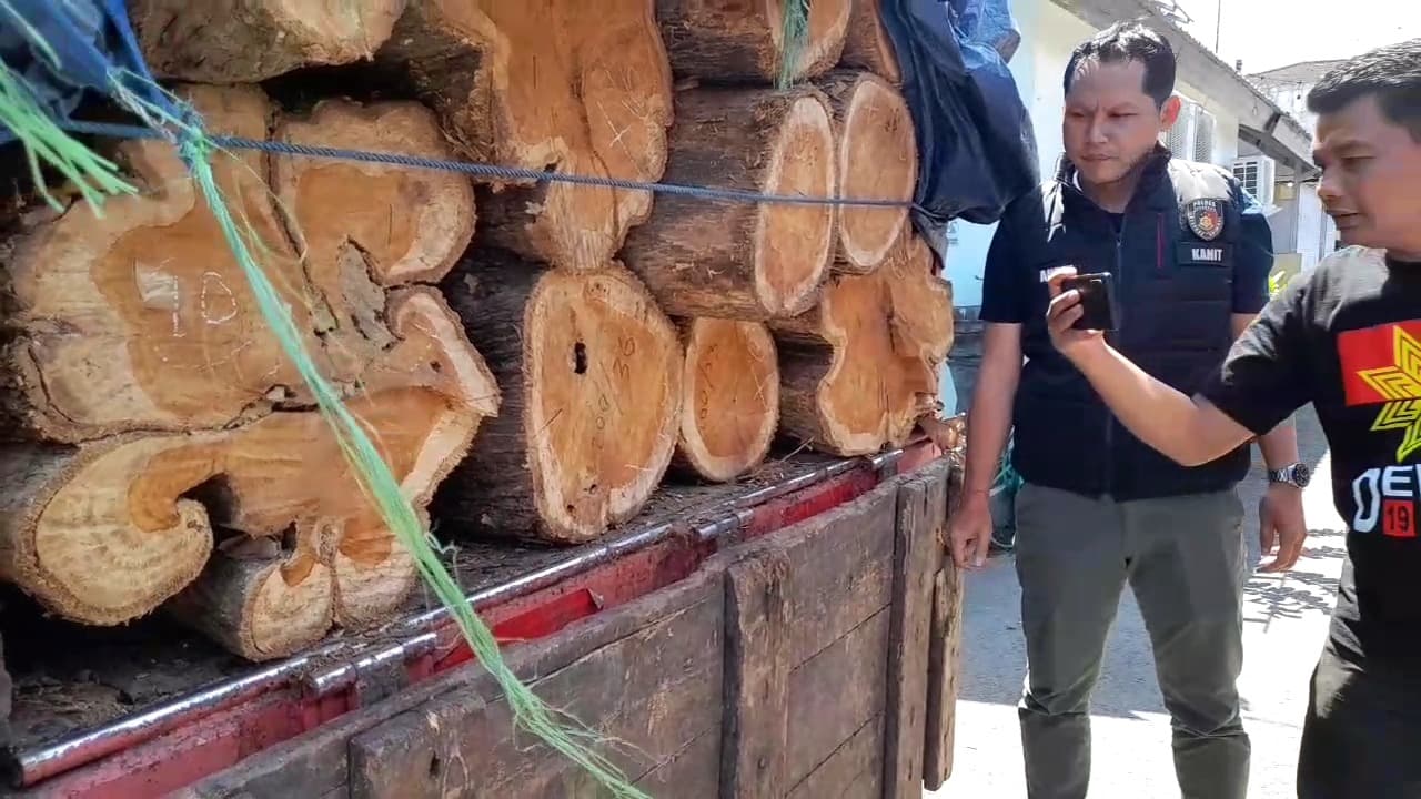 Polres Ponorogo Ungkap Kasus Ilegal Logging, Kerugian Negara Capai Rp100 Juta