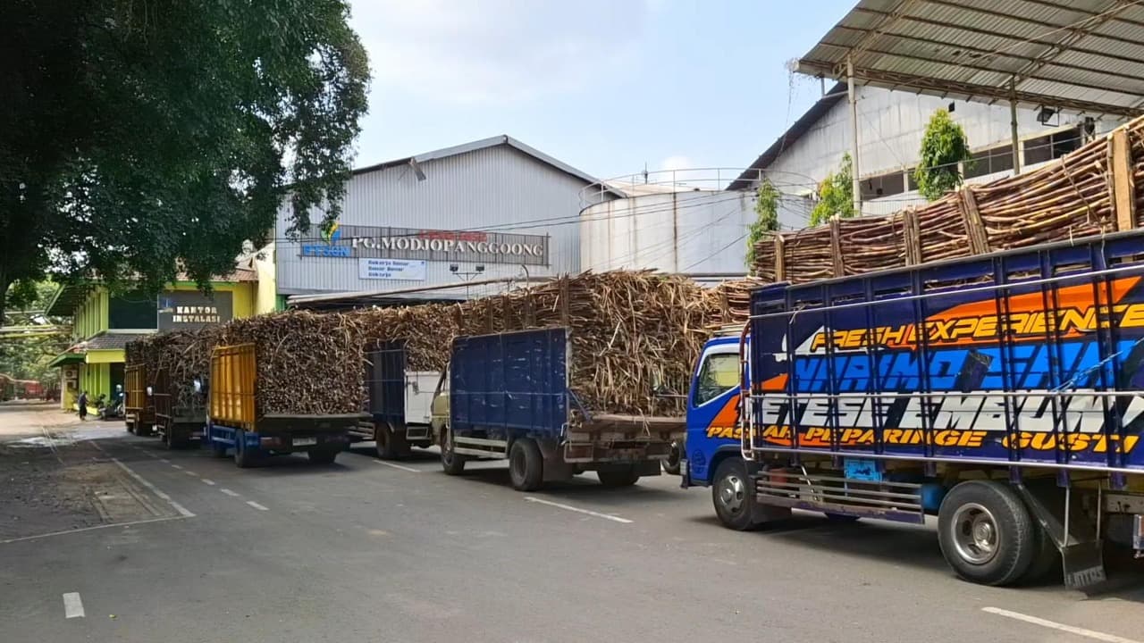 Produksi Gula PG Modjopanggoong 2025 Kurang Optimal, Cuaca Jadi Penyebab Utama