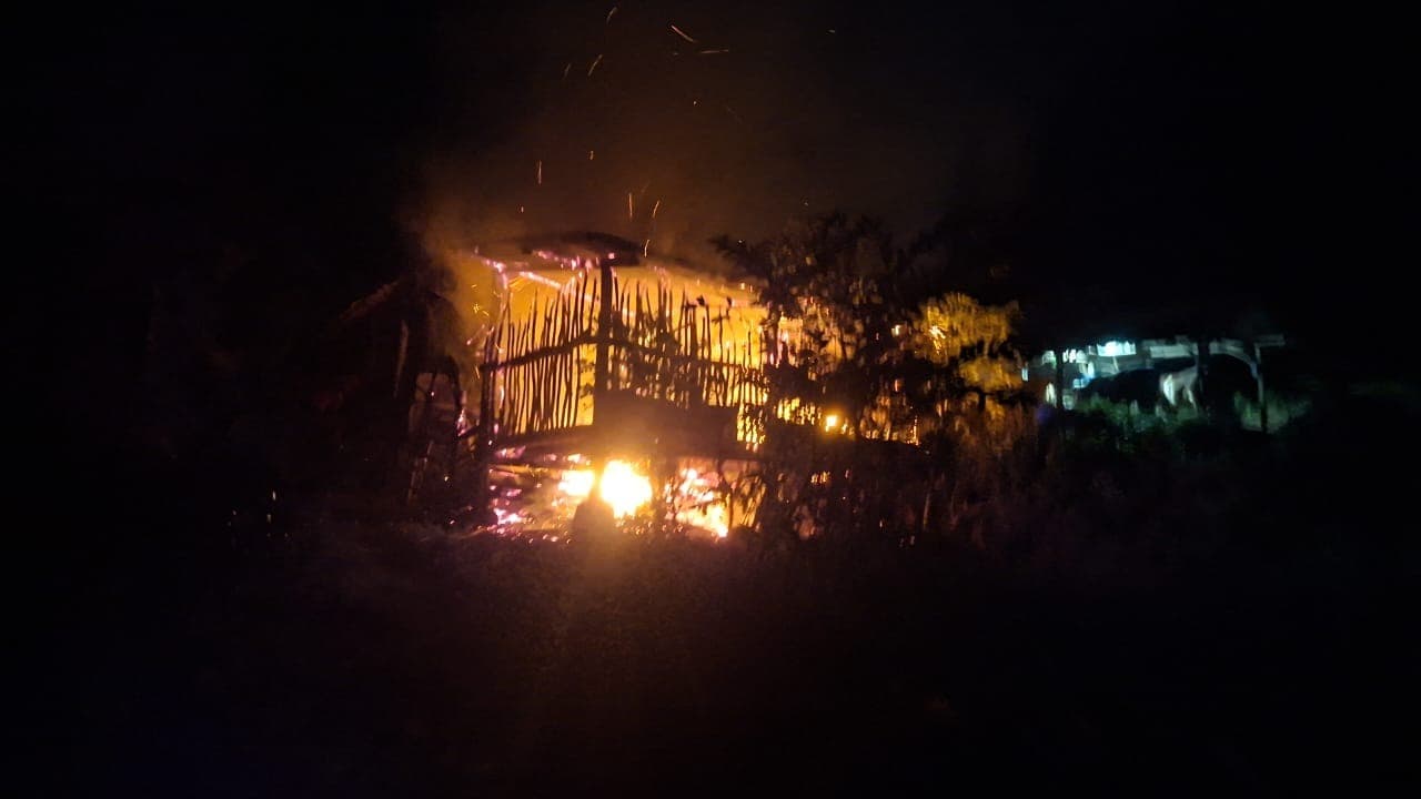 Kandang Terbakar, 9 Kambing Mati Terpanggang