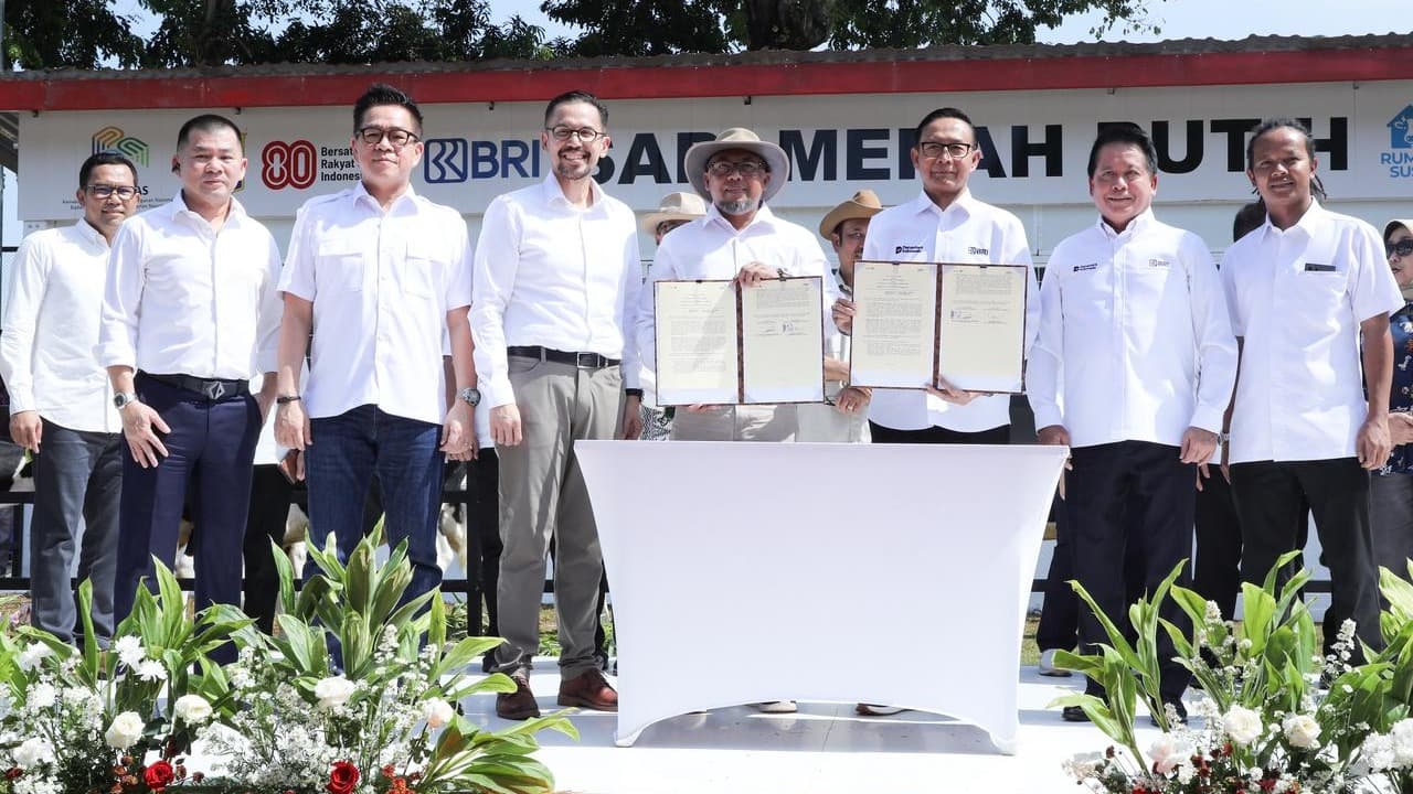 BRI Dukung Program Sapi Merah Putih, Dorong Swasembada Pangan Nasional