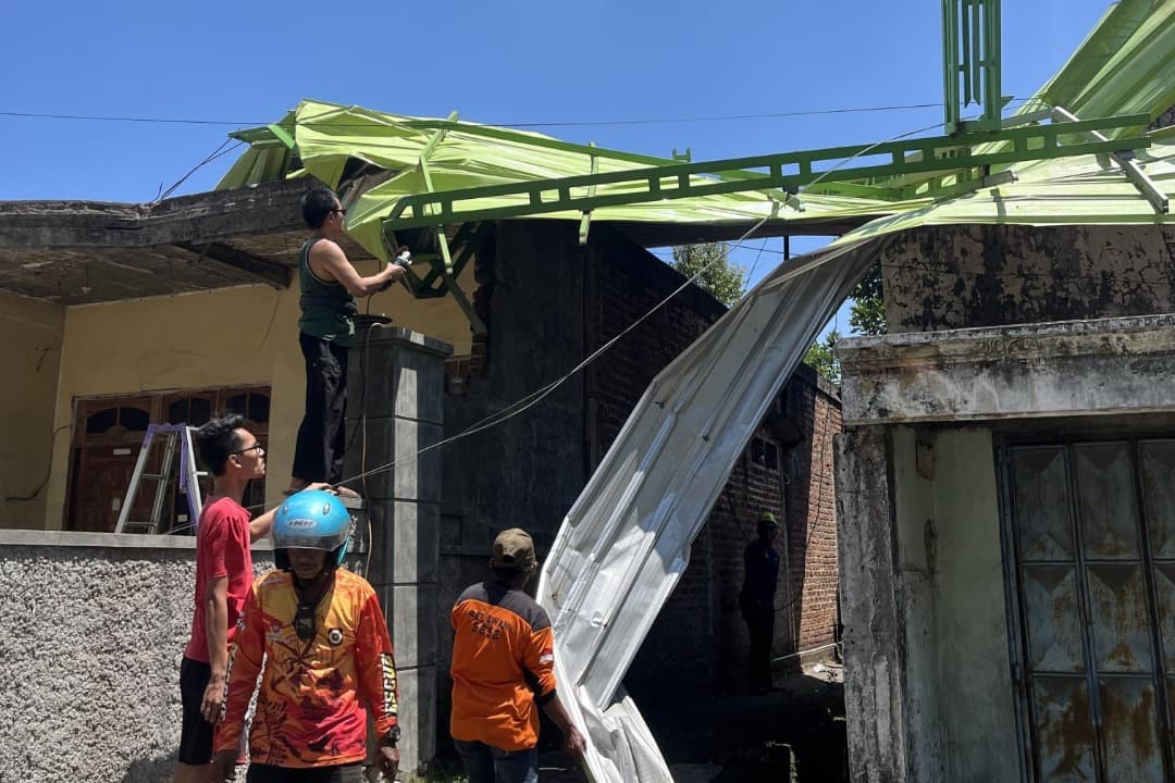 Angin Kencang Tumbangkan Pohon Bulu dan Glodokan di Mojokerto