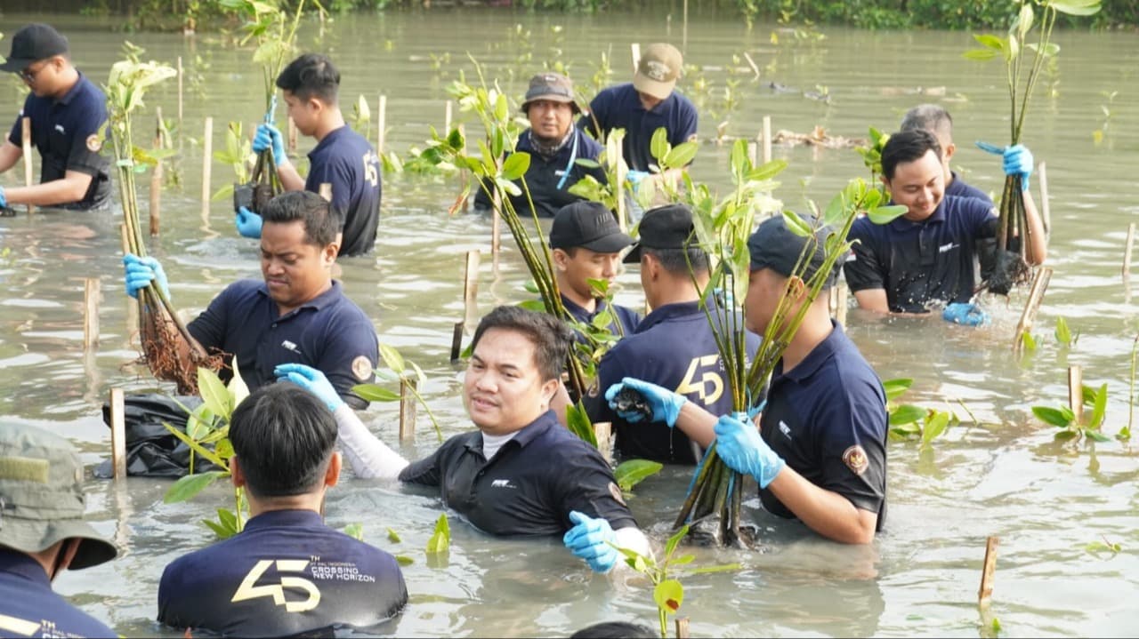 Jaga Kelestarian Pesisir Surabaya,  PT PAL Indonesia Tanam 2.000 Bibit Mangrove