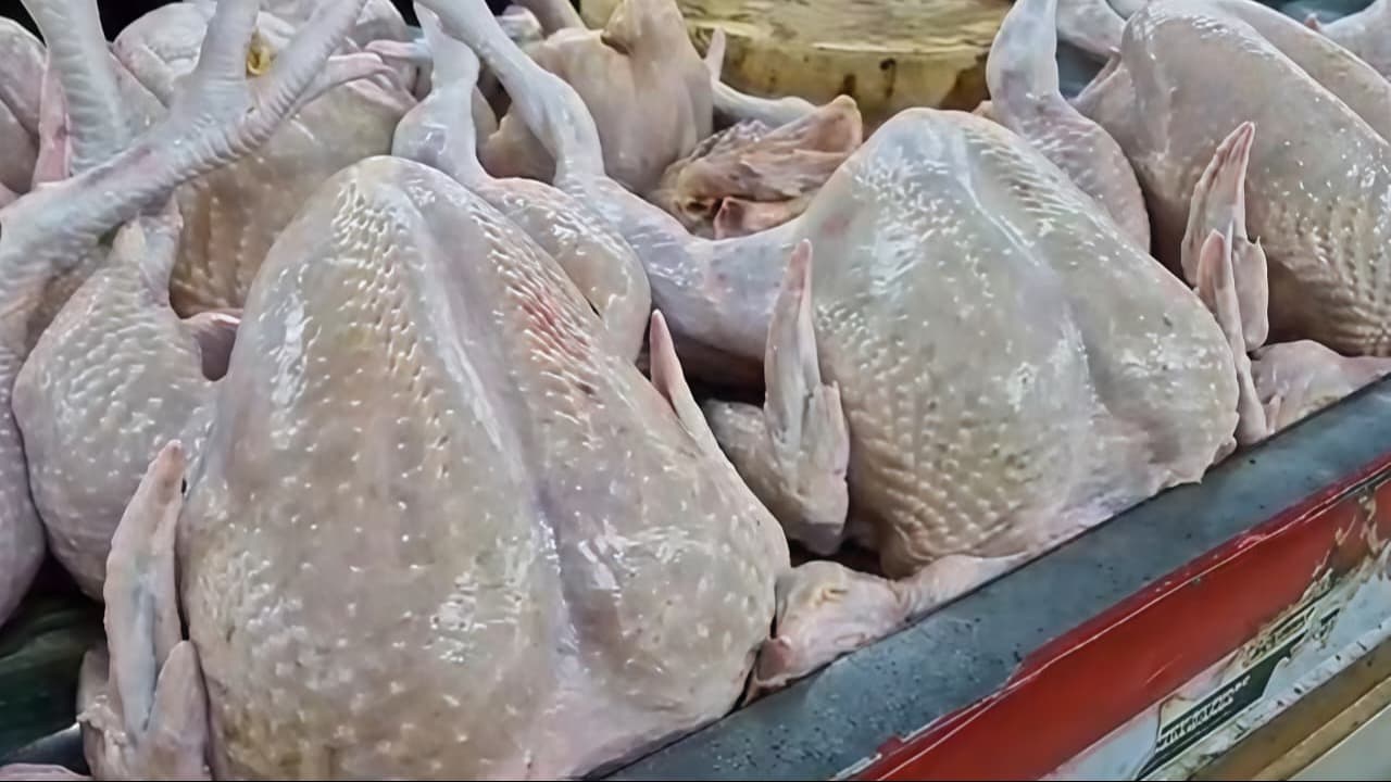 Harga Ayam Potong di Ponorogo Tembus Rp 37 Ribu per Kg