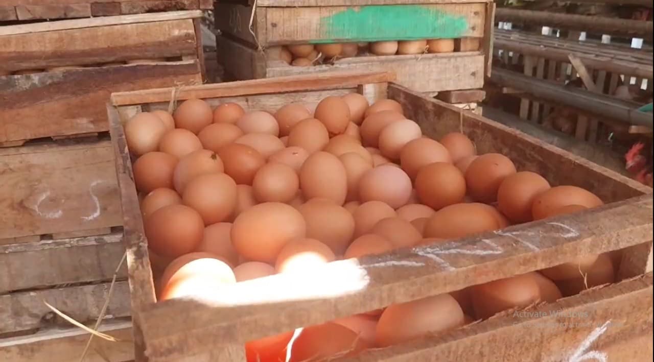 Pedagang Telur Pasar Sayur Magetan Keluhkan Omzet Turun Saat Harga Naik